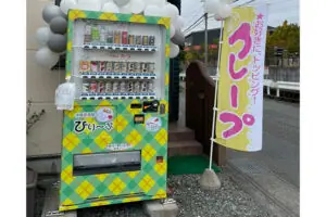 飲料自販機 36セレクション 36押ボタン F36TP6C - 自販機販売(新品